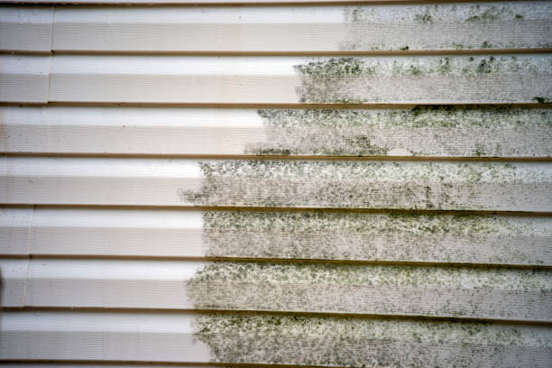 Best Mattress Disposal  in Myerstown, PA
